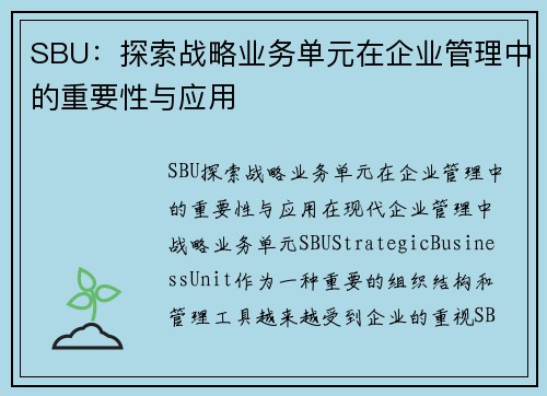 SBU：探索战略业务单元在企业管理中的重要性与应用